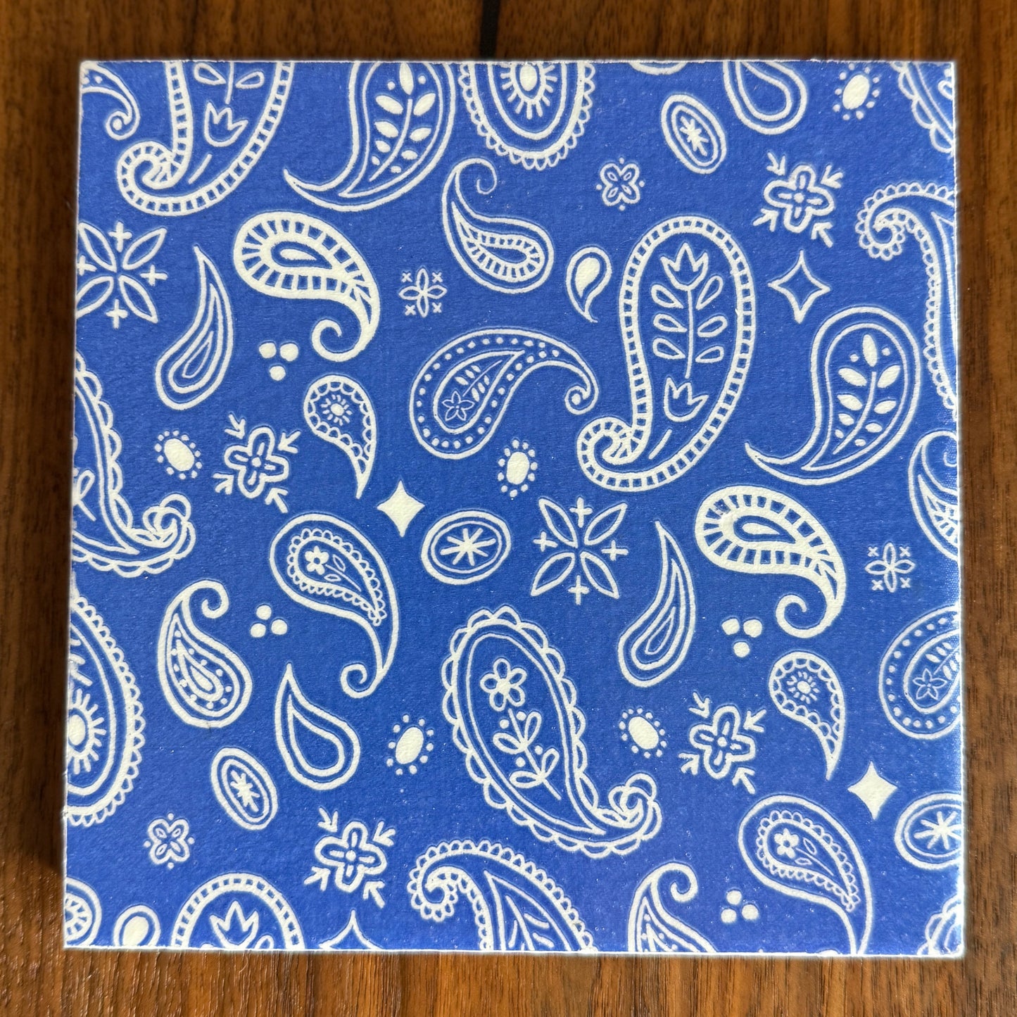 Blue Paisley Ceramic Trivet