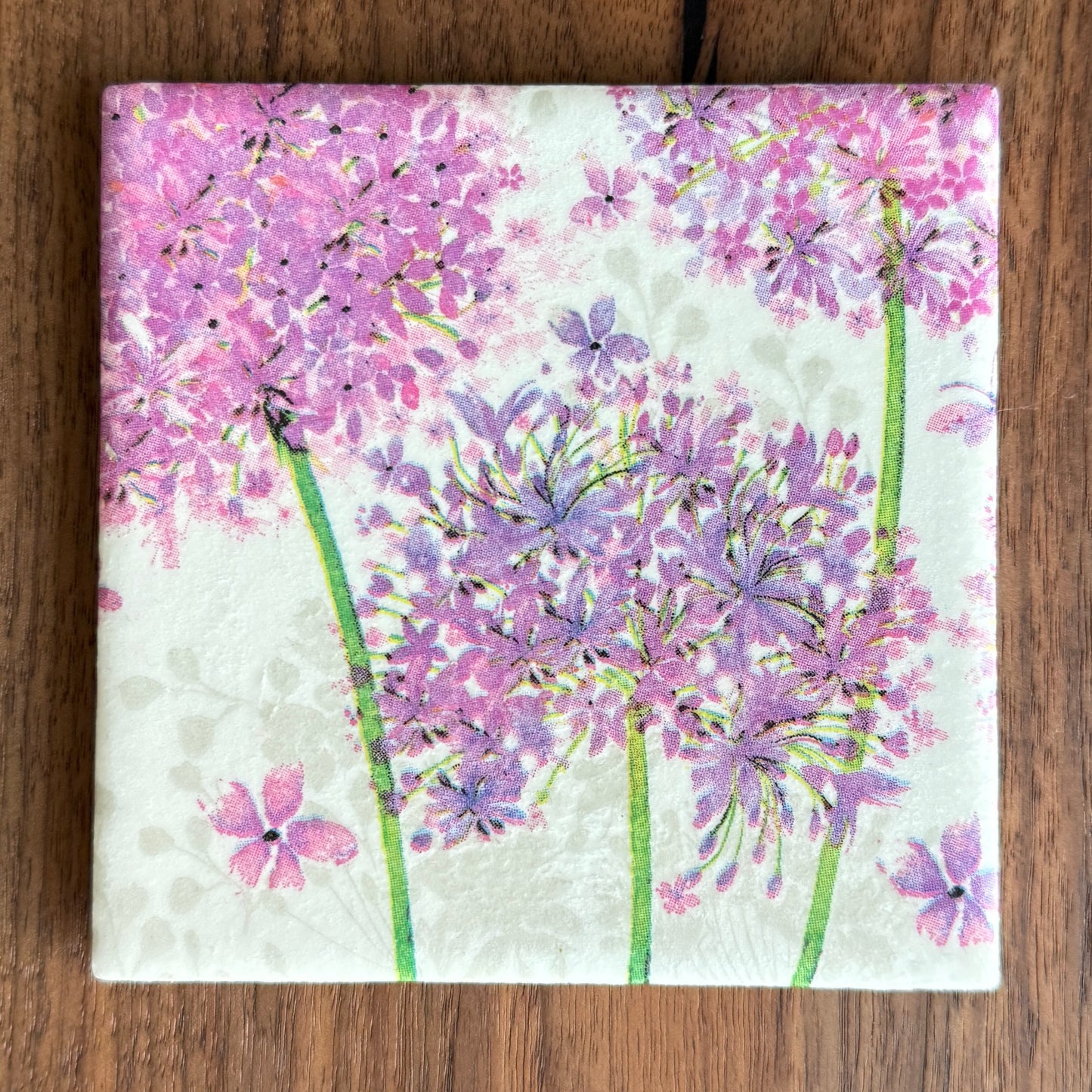 Allium Ceramic Coaster Set