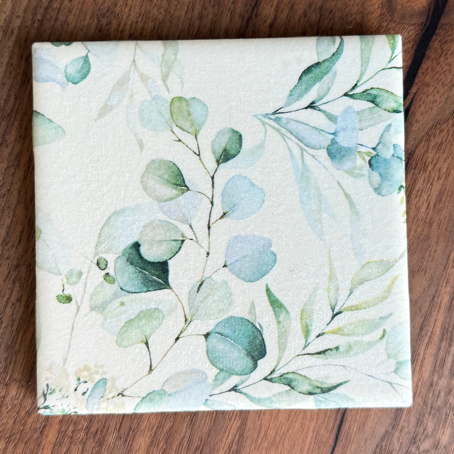 Eucalyptus Ceramic Coaster